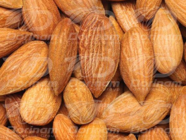 Supplying the best almond nuts on the market