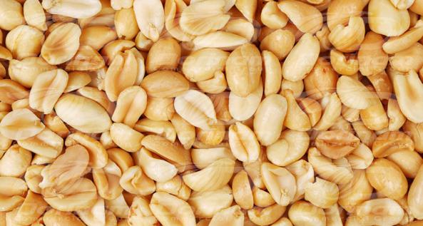 Unshelled peanuts late export data in 2020