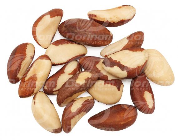 Buy organic peanuts bulk directly from distributor