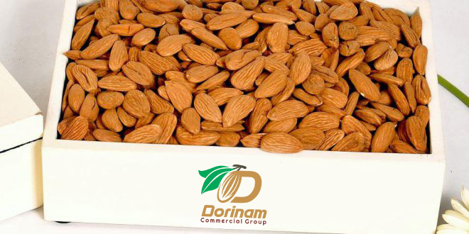 Supplying almond by bulk on the market