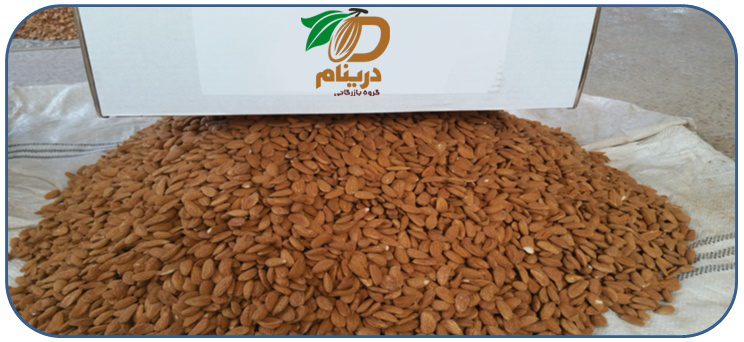 Buy most common Iranian mamra almonds types