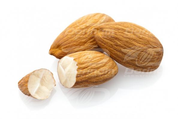 The advantages of providing almond in bulk 