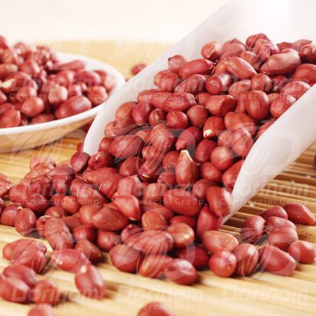 High-quality raw peanuts at wholesale amount 