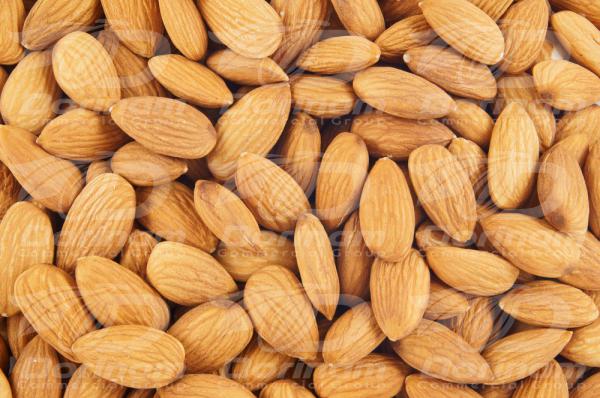 Buy bulk almond nuts directly from factory 