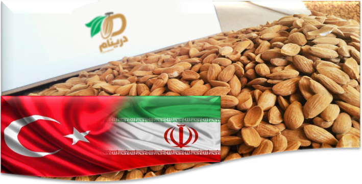 Mamra almond kernel bulk price in 2020