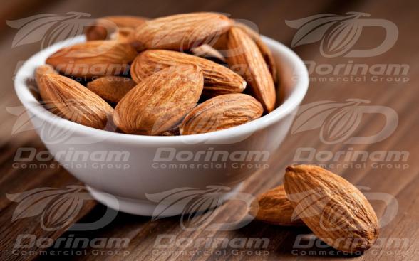 Focal supplier for mamra almond kashmir