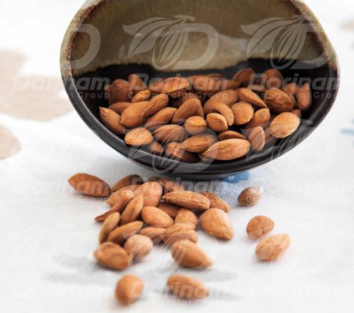 Different types of kashmiri mamra almond