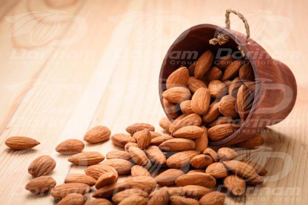 Domestic demand for mamra almonds