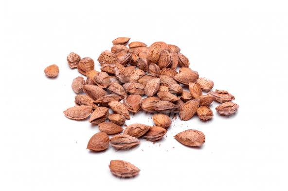 soft shell almonds latest export data in 2020