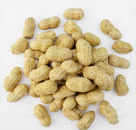 Purchasing raw shelled peanuts at affordable prices 