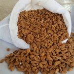 Mamra almond kernel wholesale supplying in 2020