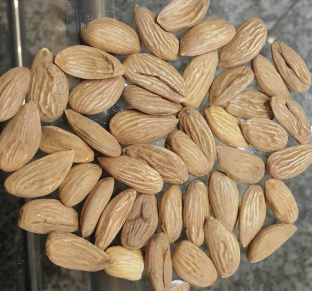 Obvious feature of Mamra almond kernel