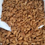 Mamra almonds in australia Affordable Prices