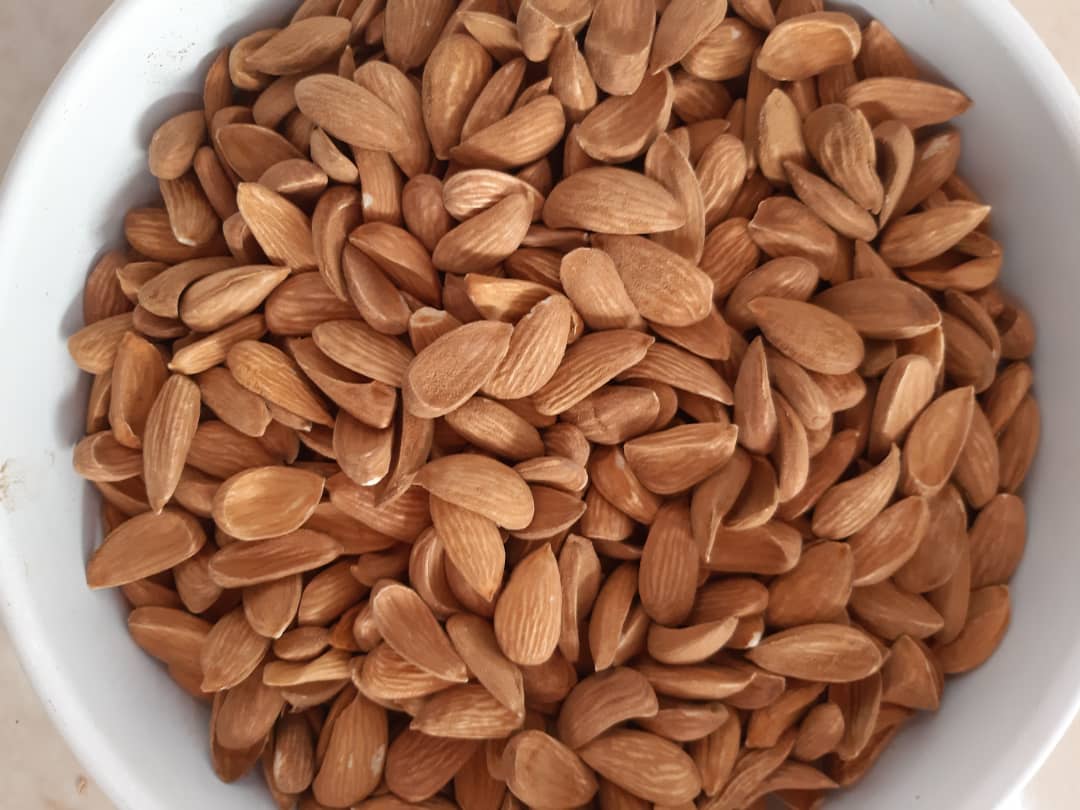 Notable cases about mamra almond kernel