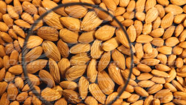 Mamra almond kernel benefit for body