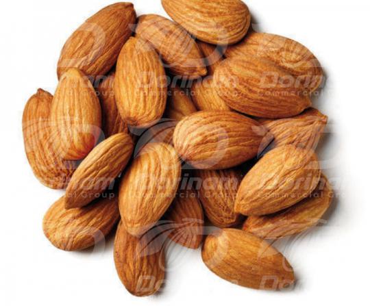 Buy thick shelled almond at wholesale price 