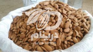 Mamra almond Wholesale production