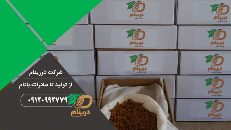 Mamra almond kernel Distribution centers
