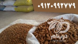 mamra cluster almonds