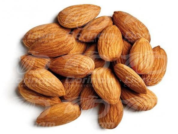 Local Domestic production for mamra almond kernel