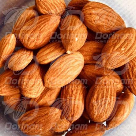 Tips for Purchasing organic mamra almond