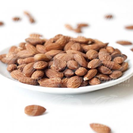 Buy the best quality mamra almonds in bulk
