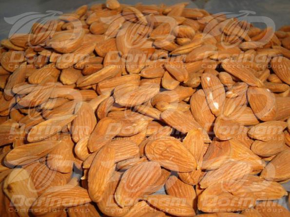 Mamra almond kernel buy in bulk