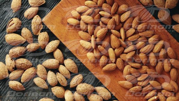 Organic mamra almond wholesale supply for markets