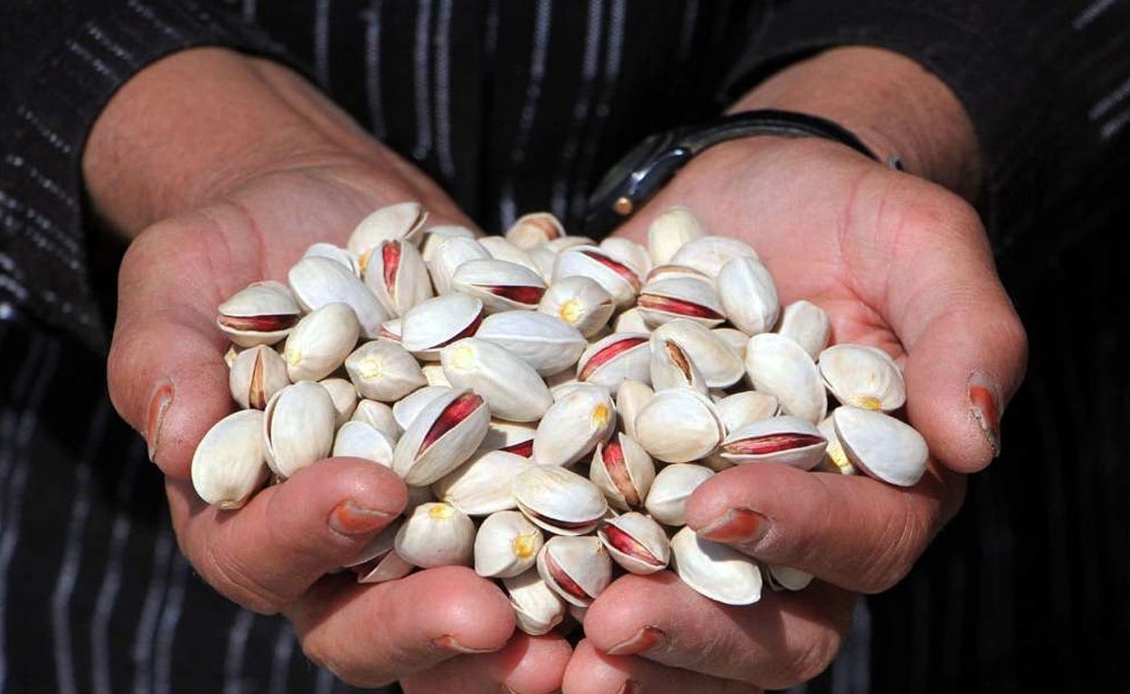 Pistachio sales reference suitable for export