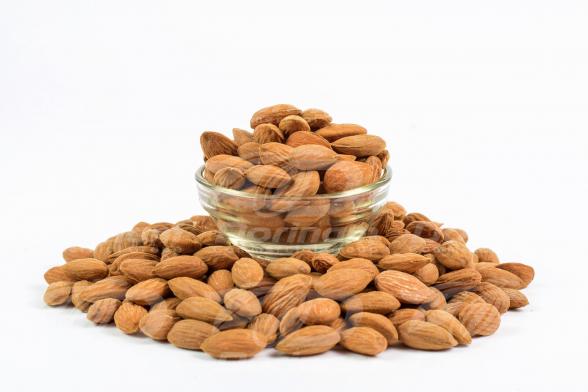 characteristics of organic mamra almond