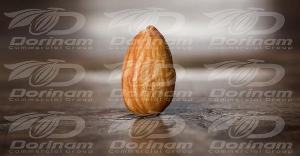 Purchase the best quality mamra almonds
