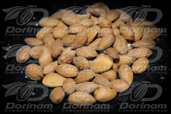 Bulk production of mamra almond kashmir
