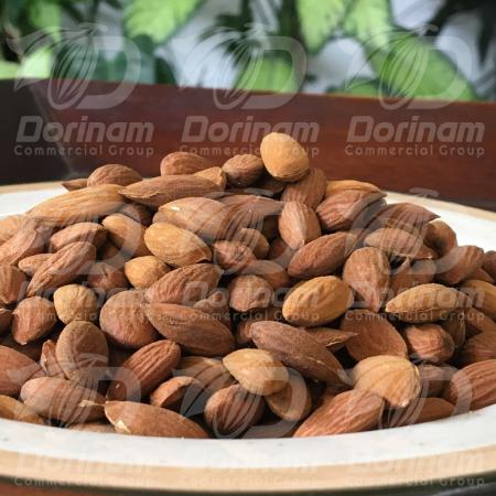 What is mamra almond kernel?