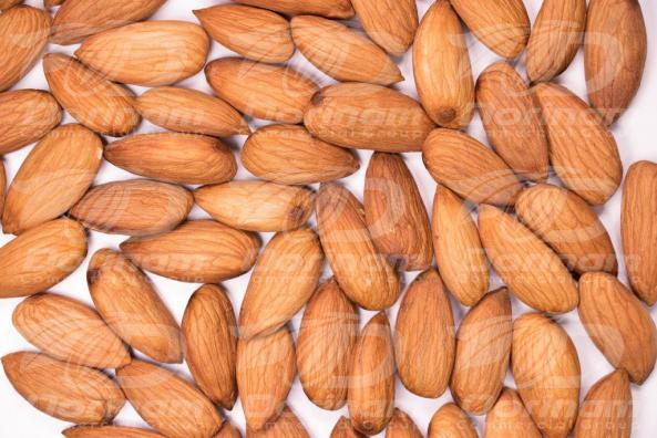 Bulk production for organic mamra almond
