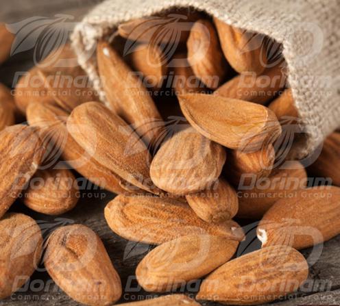The benefits for mamra almond kashmir