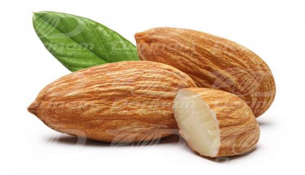 Different types of mamra almond kashmir