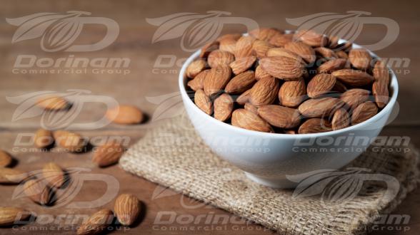 Export data for kashmiri mamra almond
