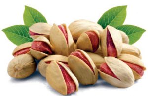 Sale price of raw pistachios in Ukraine