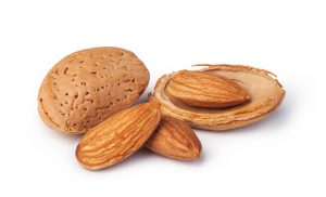 Wholesale export of almonds to India 