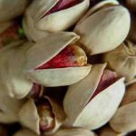 Export of Akbari and Kale Ghouchi hand-picked pistachios