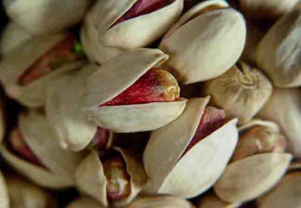 Export of Akbari and Kale Ghouchi hand-picked pistachios