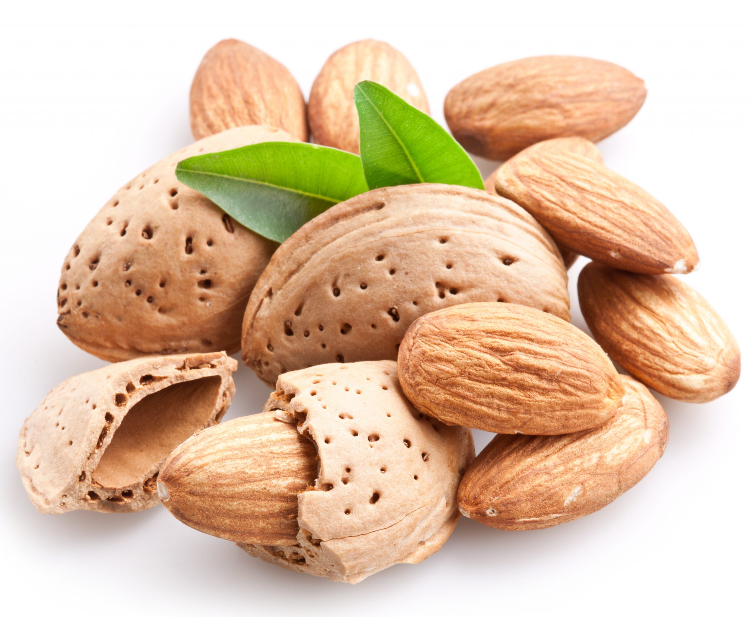 Export of sweet Iranian Mamra almond kernels