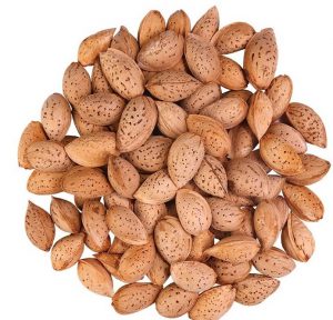 Export sales of Iranian Moheb almonds