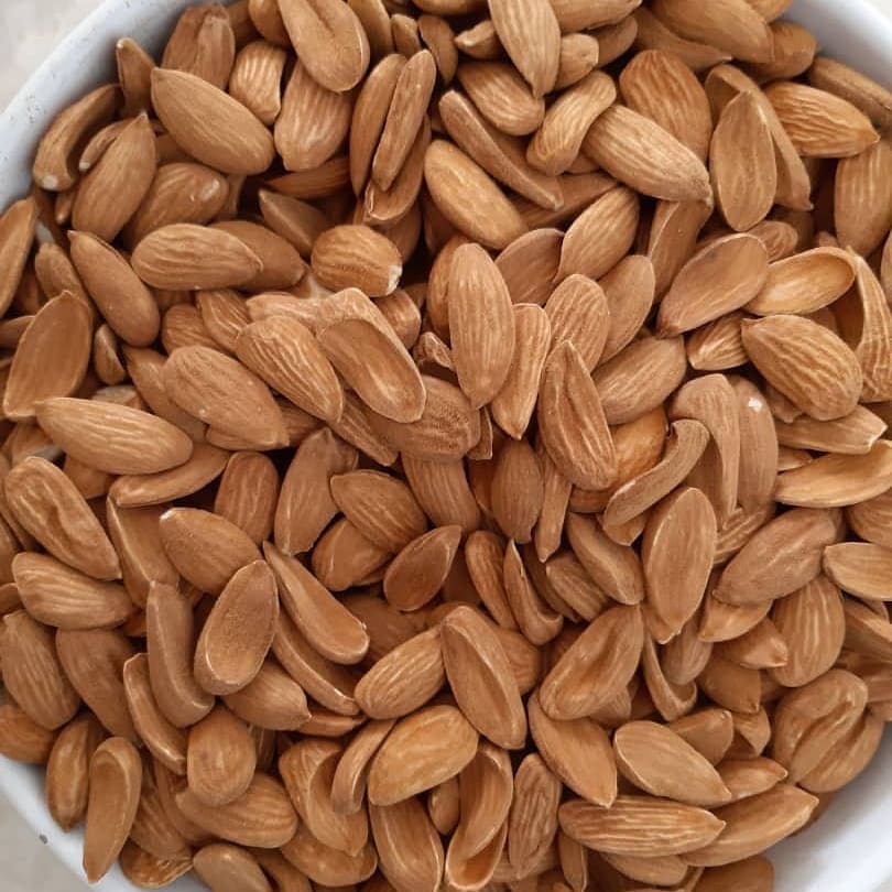 Wholesale export of almonds to India 