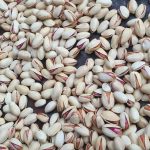 Ahmad Aghaei raw pistachios for export