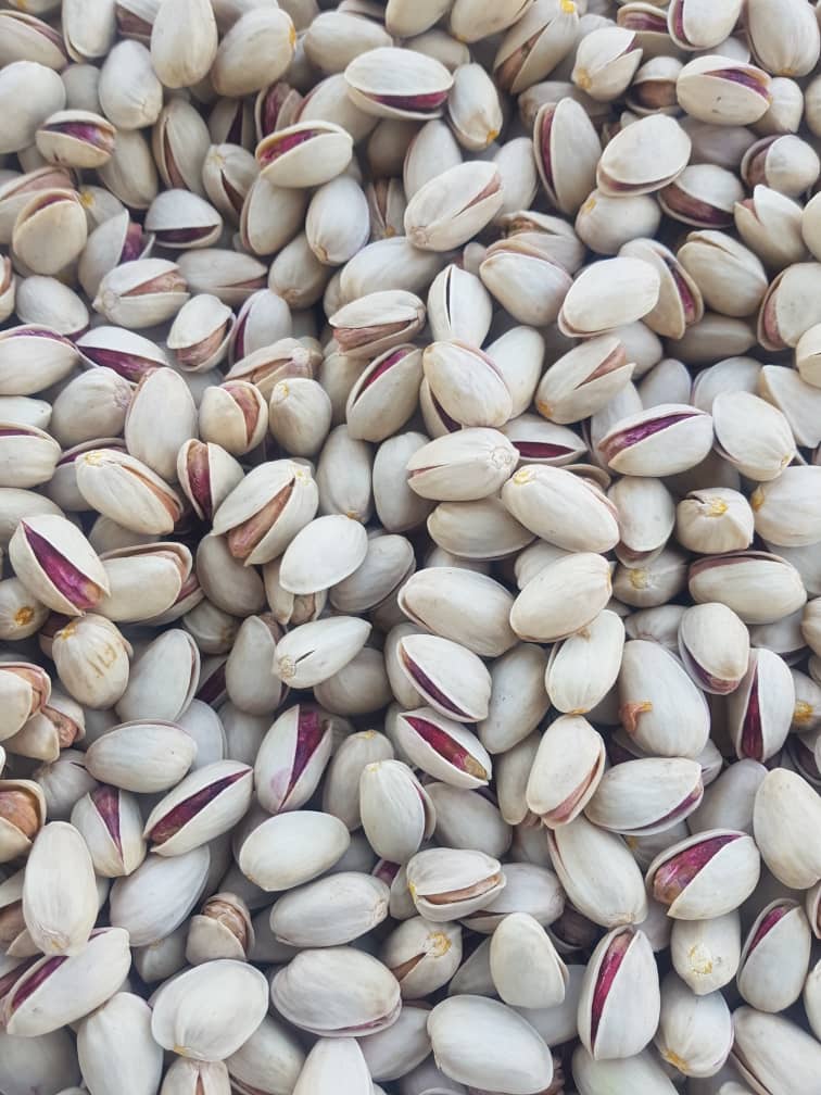 Export of Ahmad Aghaei Sarvestan pistachios to India
