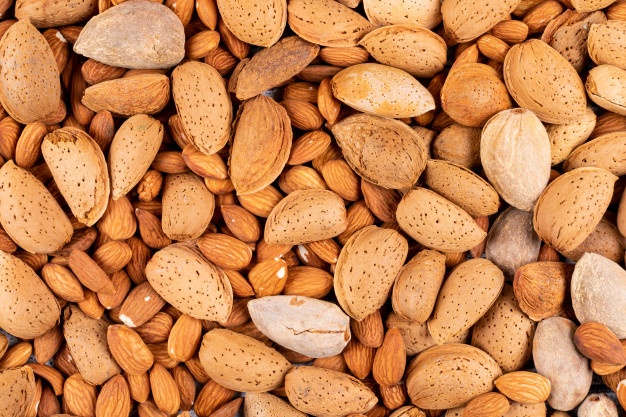 Iranian Almond Kernel Trade