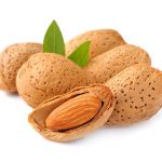 Iranian Organic Almond Tree Price