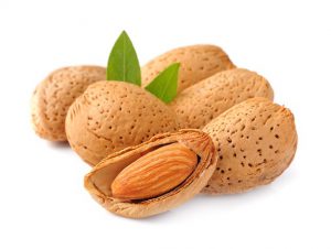 Iranian Organic Almond Tree Price