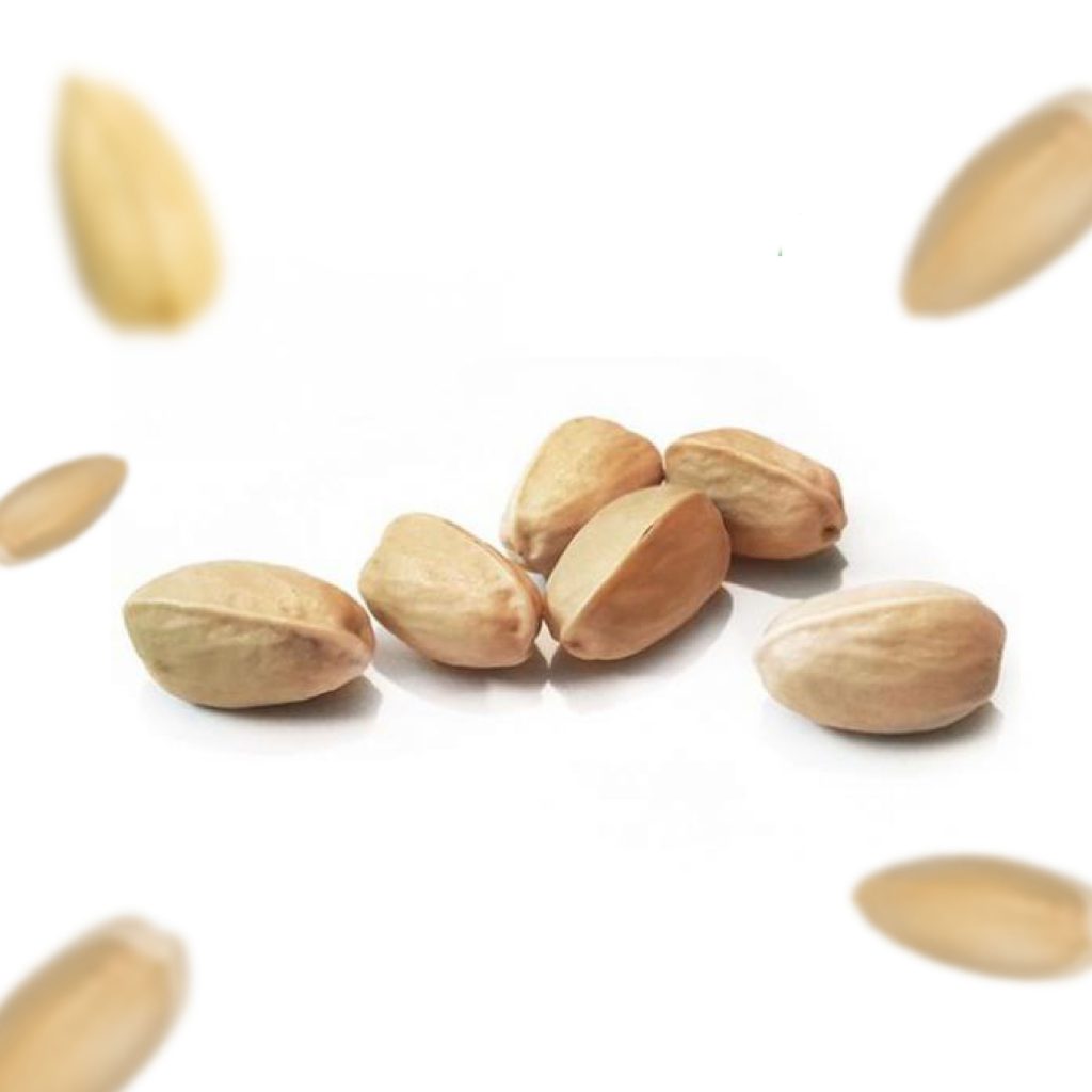 Export of closed mouth Fandoghi pistachios to Germany and Italy